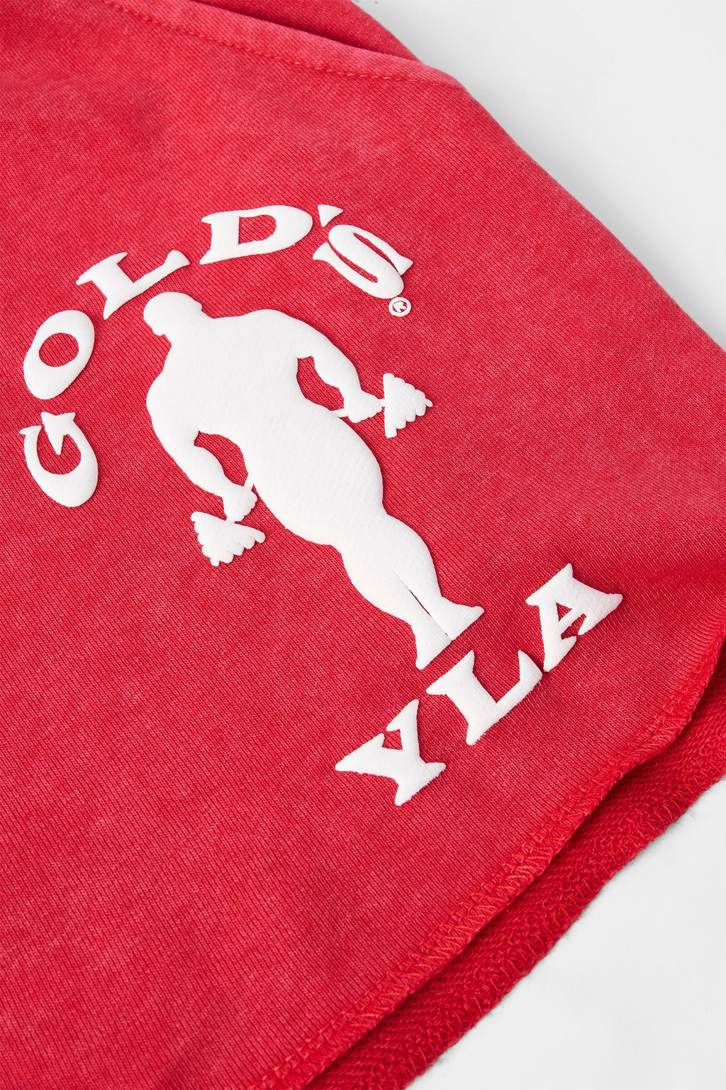 1132 - Golds Gym Bodybuilding Shorts