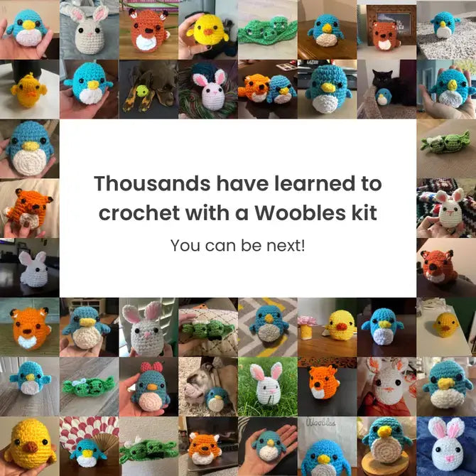 Woobles Beginner Crochet Kit - Fred the Rainbow Dinosaur