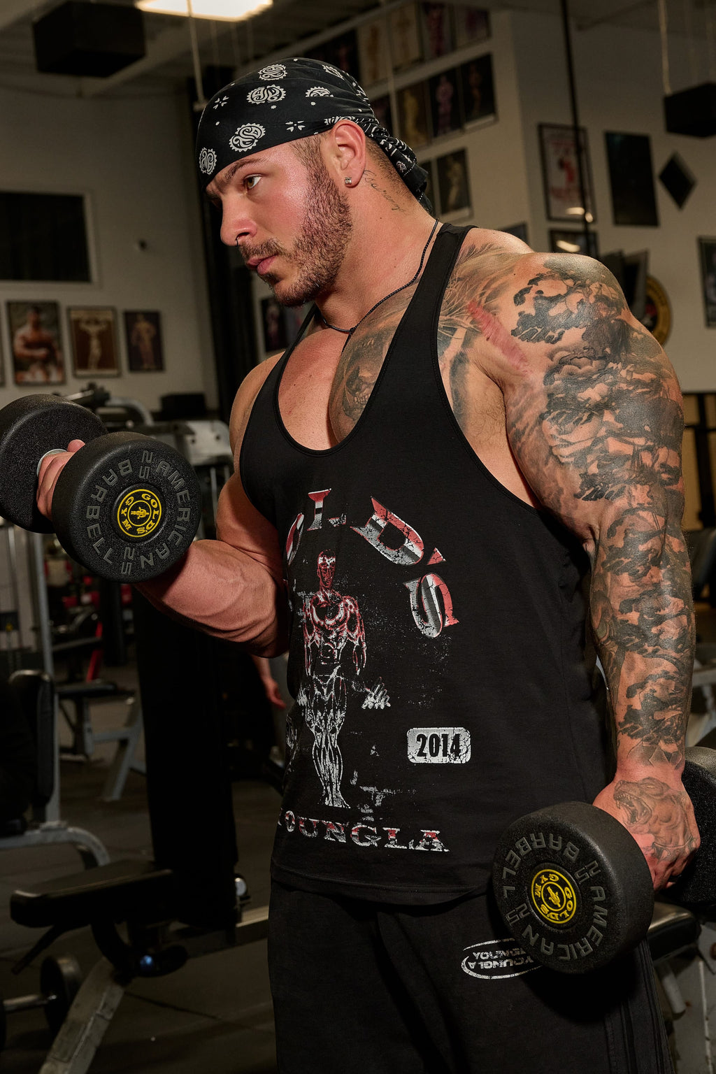 3062 - Gold's Glitch Stringers